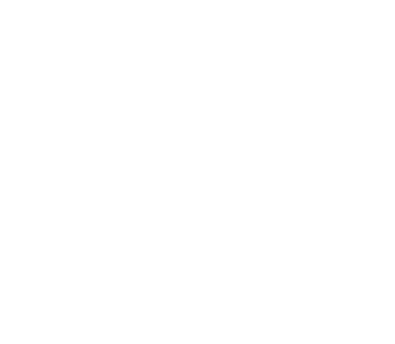 Hans From Space Craft Logo White Transparent