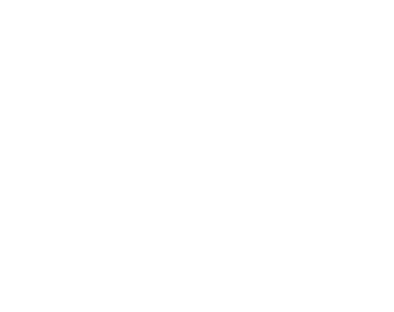 bandcamp icon white