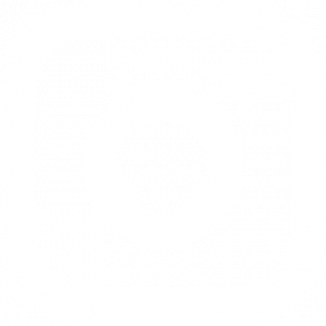 Instagram Icon white